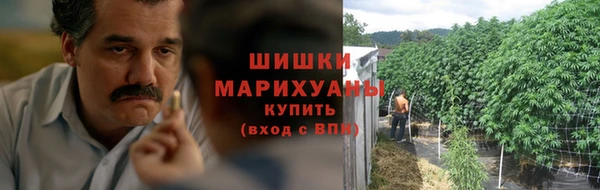 индика Белокуриха