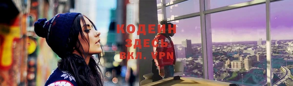 индика Белокуриха