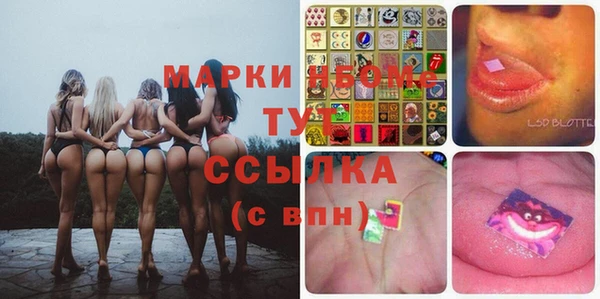 индика Белокуриха