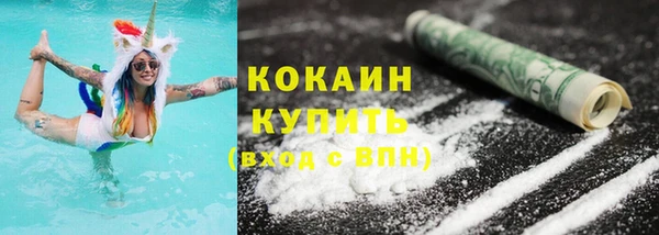 индика Белокуриха